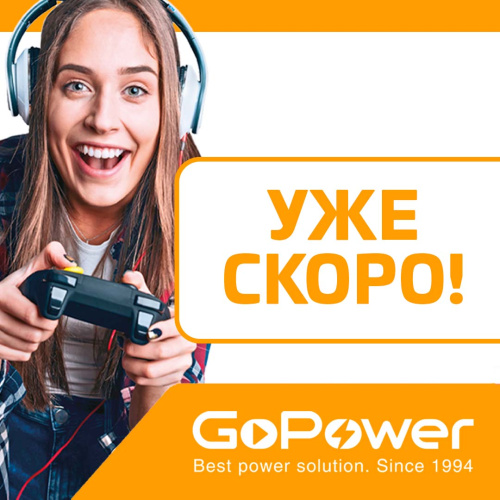 Мышь беспроводная GoPower GPM02 классическая USB черный